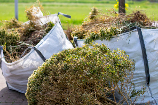 Trusted Little Elm, TX Junk Removal Experts